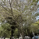 武汉旅游 缩略图 2