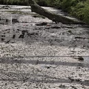 无锡旅游 缩略图 11