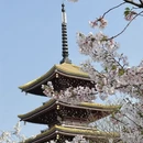 武汉旅游 缩略图 9