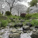 武汉旅游 缩略图 11