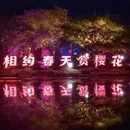 武汉旅游 缩略图 13