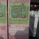武汉旅游 缩略图 15