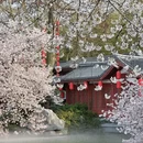 武汉旅游 缩略图 10