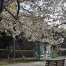 上海旅游 缩略图 11