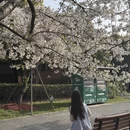 上海旅游 缩略图 12