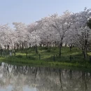 上海旅游 缩略图 10