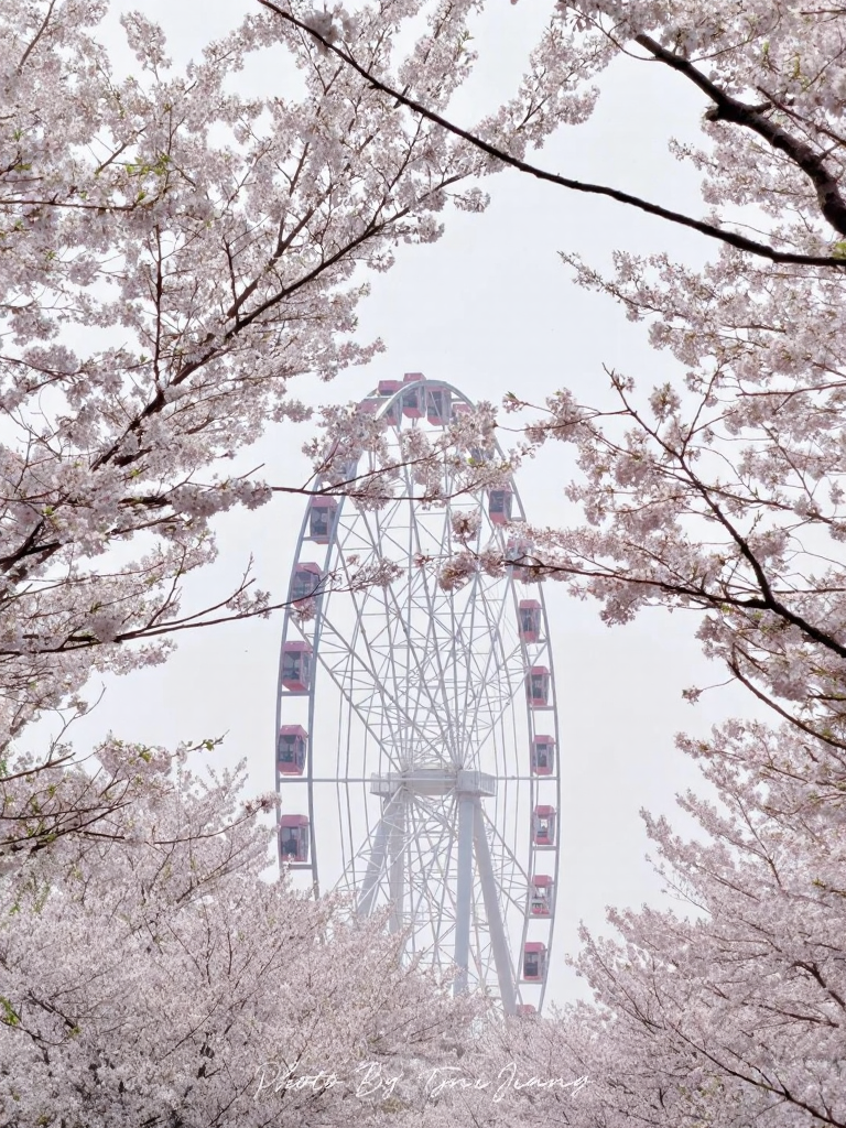 上海旅游