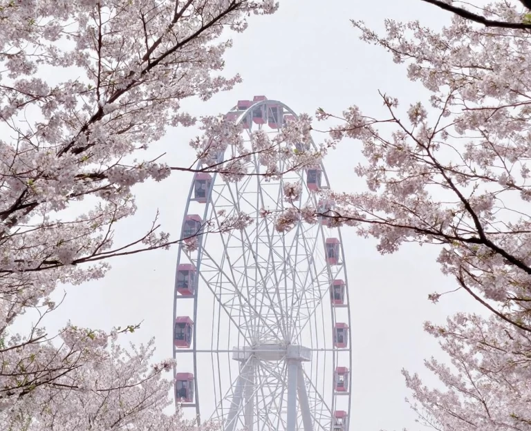 上海旅游 1