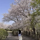上海旅游 缩略图 16