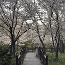 上海旅游 缩略图 14