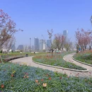 上海旅游 缩略图 7