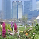 上海旅游 缩略图 6