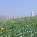 上海旅游 缩略图 8