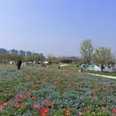 上海旅游 缩略图 11
