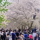 上海旅游 缩略图 2