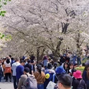 上海旅游 缩略图 1