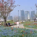 上海旅游 缩略图 13