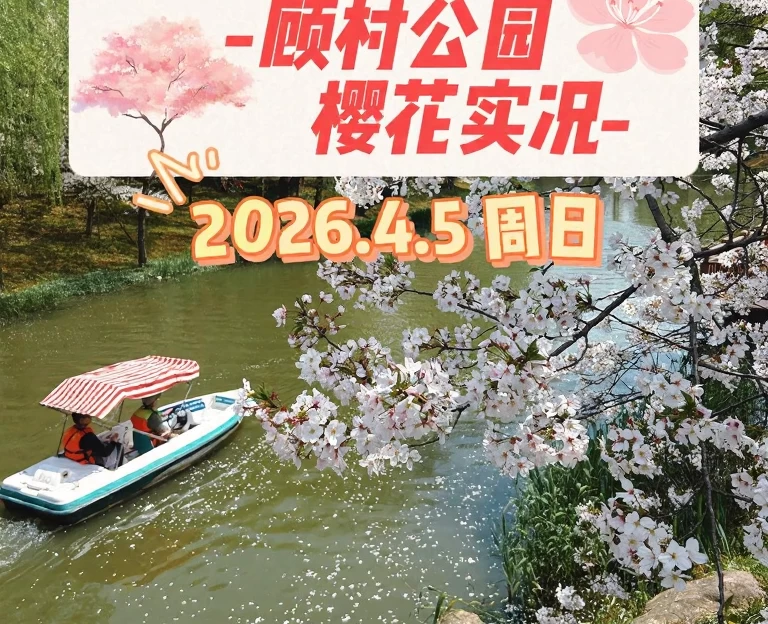 上海旅游 1