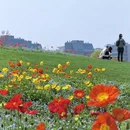 上海旅游 缩略图 18