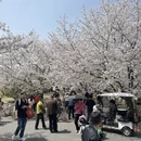 上海旅游 缩略图 5
