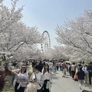 上海旅游 缩略图 7