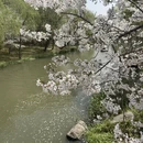 上海旅游 缩略图 8