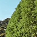 广州旅游 缩略图 2