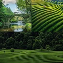 黄山旅游 缩略图 1