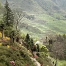 黄山旅游 缩略图 1