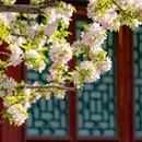 北京旅游 缩略图 1