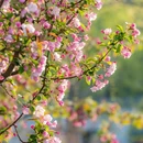 北京旅游 缩略图 4