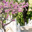 北京旅游 缩略图 8