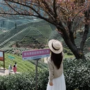 杭州旅游 缩略图 1