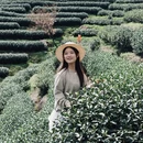杭州旅游 缩略图 3