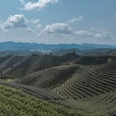杭州旅游 缩略图 10