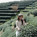 杭州旅游 缩略图 7