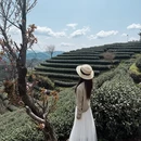 杭州旅游 缩略图 9