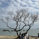 厦门旅游 缩略图 1