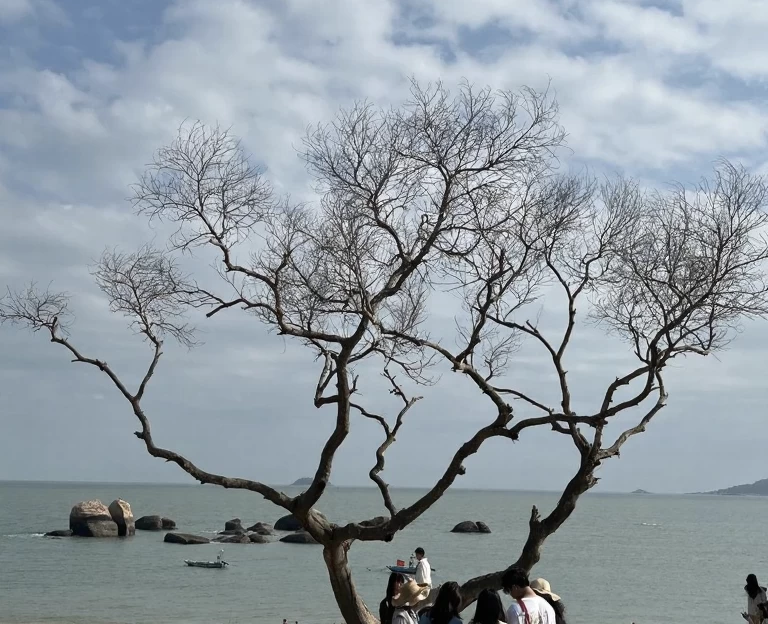 厦门旅游 1