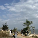 厦门旅游 缩略图 14