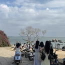 厦门旅游 缩略图 13