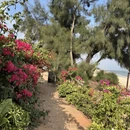 厦门旅游 缩略图 12