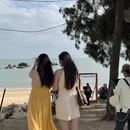 厦门旅游 缩略图 10