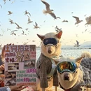 昆明旅游 缩略图 5