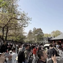 南京旅游 缩略图 2