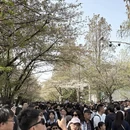 南京旅游 缩略图 3