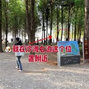 昆明旅游 缩略图 7