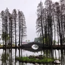 常州旅游 缩略图 3