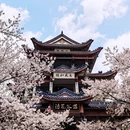 常州旅游 缩略图 1