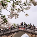 常州旅游 缩略图 7